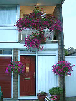 Bay Trees September 2002